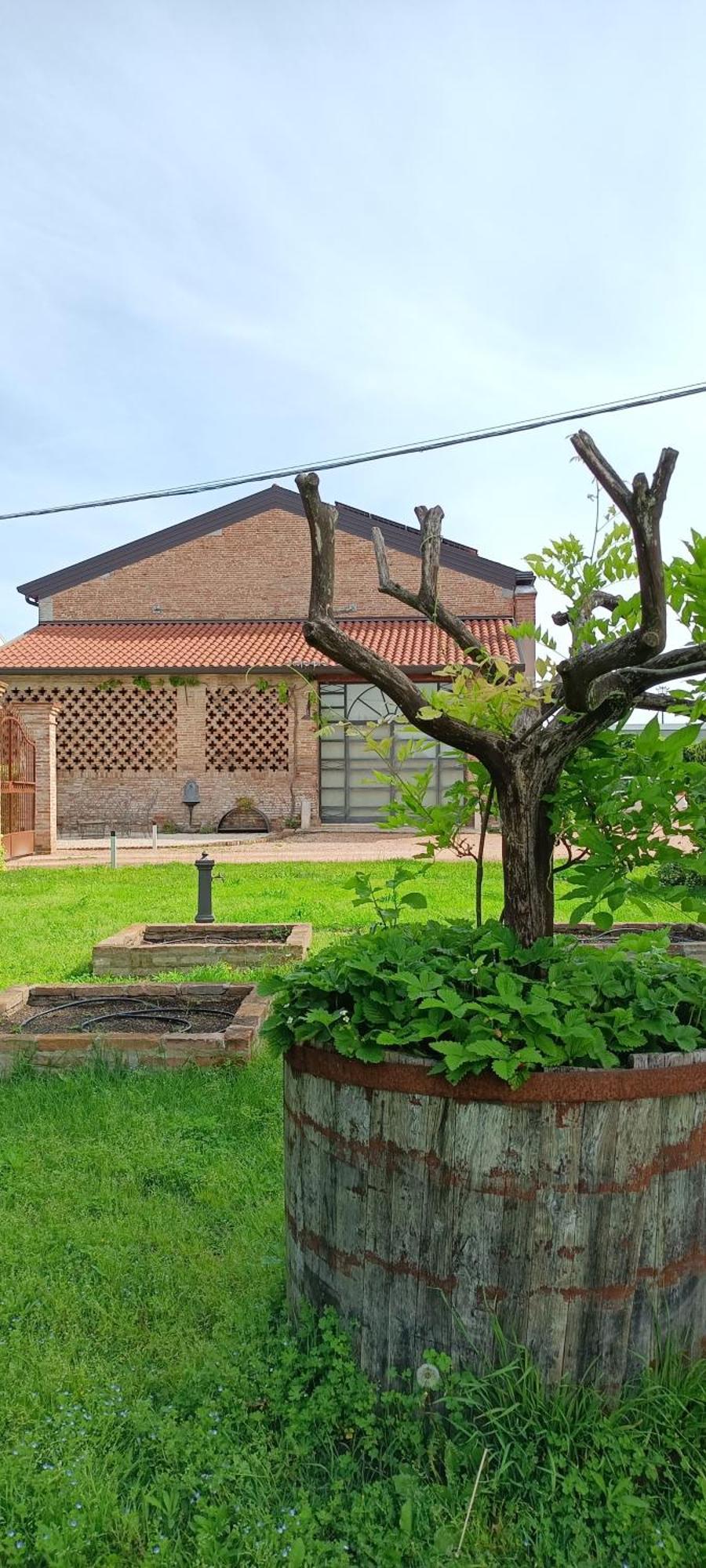B&B Rocambola Nogara Εξωτερικό φωτογραφία
